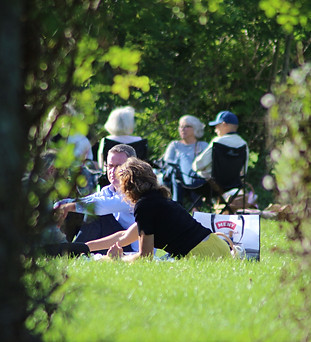 Picnic - gennem hæk.jpg